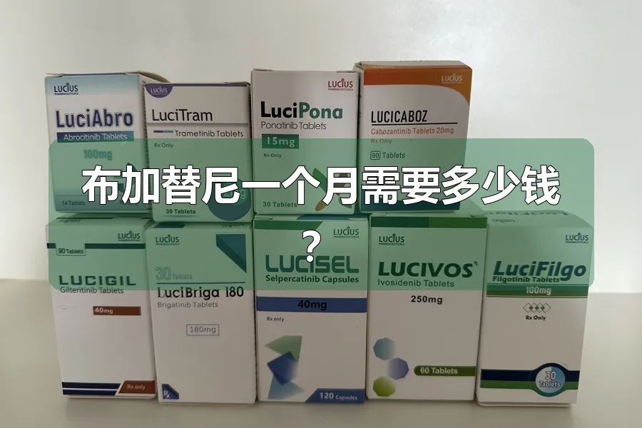 布加替尼一个月需要多少钱？